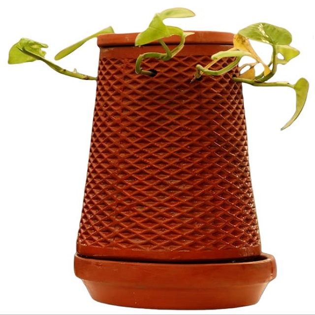 Mittikalaa Self watering planter